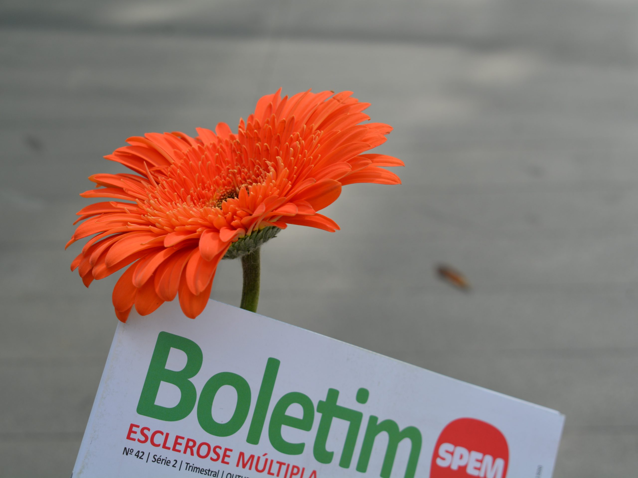 Dia Mundial da Esclerose Múltipla: Mobilizámos o país e celebrámos a vida!